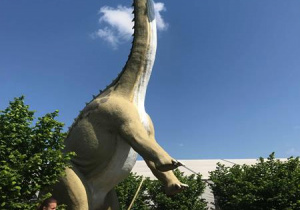 Dinopark w Kołacinku 31